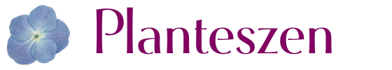 Planteszen